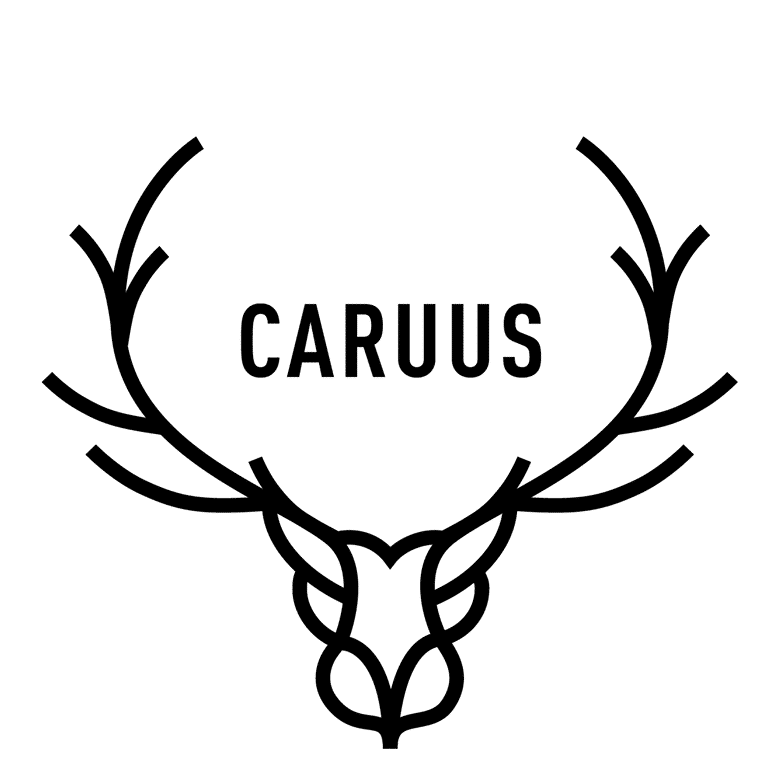 Logo marque CARUUS