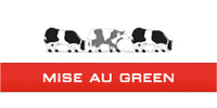 Logo de la marque Mise au Green - GERARDMER 