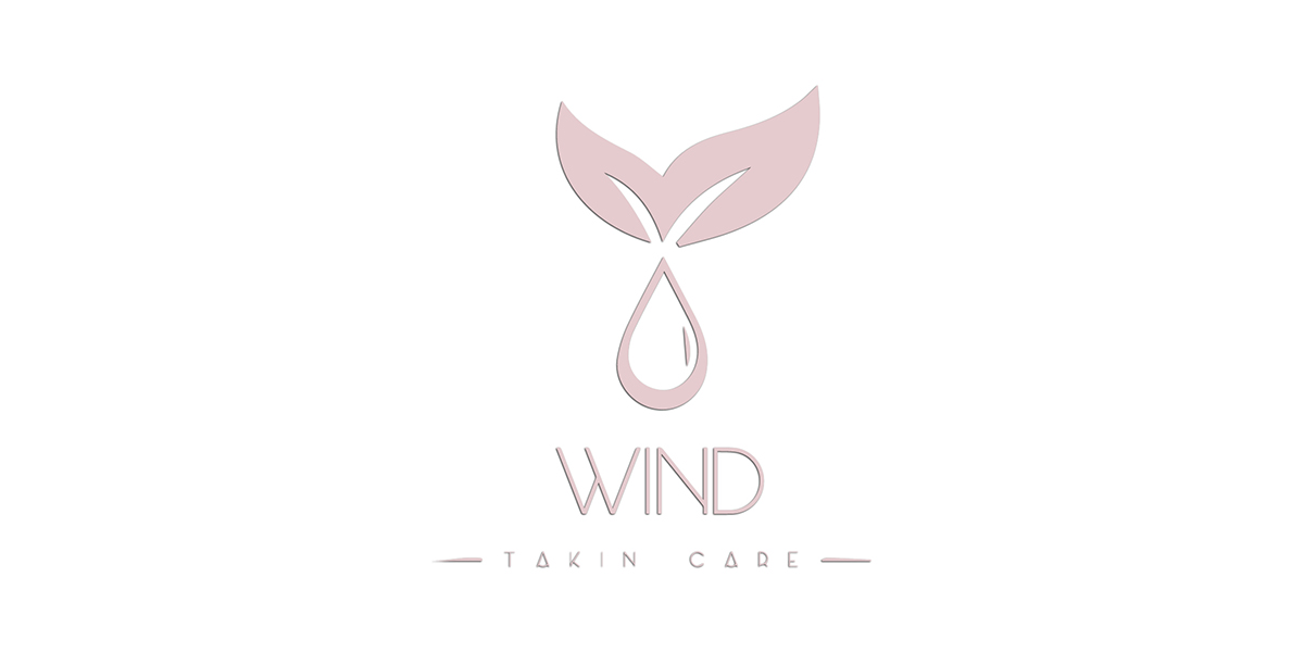 Logo marque Windstore